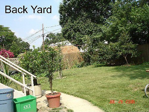 Big back yard