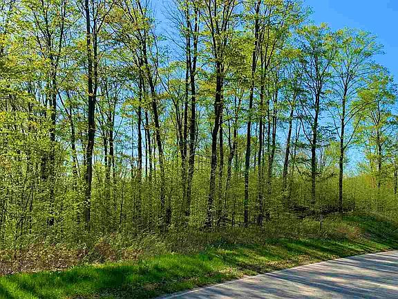 4th image of Mountain Valley Dr Lot 84