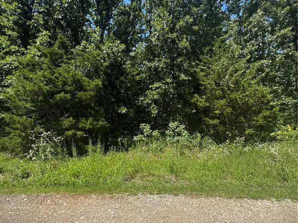 641 Briarwood Dr, Saint Clair, MO 63077