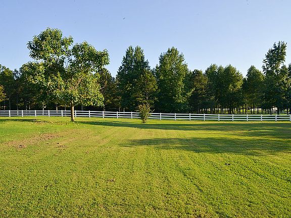 Side yard