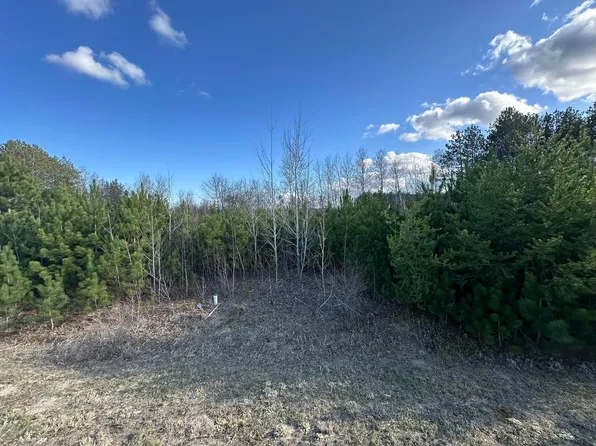 L2b6 Lysser Ln, Pillager, MN 56473