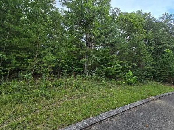 157 Lower Brow Rd Lot 157, Dunlap, TN 37327
