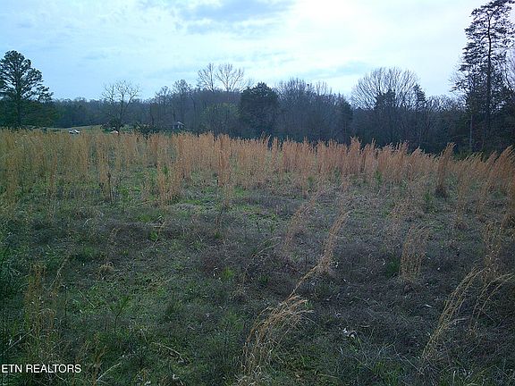 5th image of 9927 Stringtown Rd