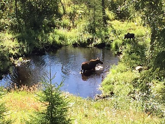 Family in the pond