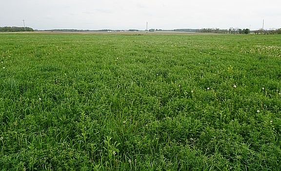 5th image of 3 N County Road 600 W