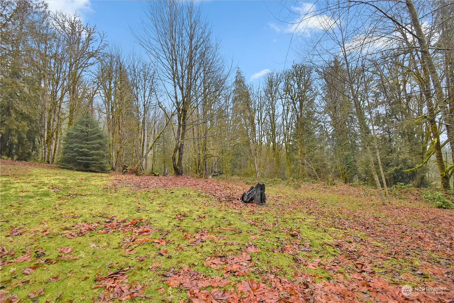 53635 Shular Road photo 1
