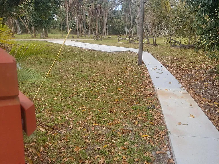 Driveway area & walkway to unit