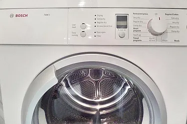 Rented by Bold New York