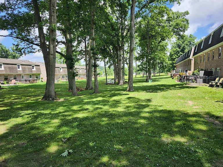 Yard