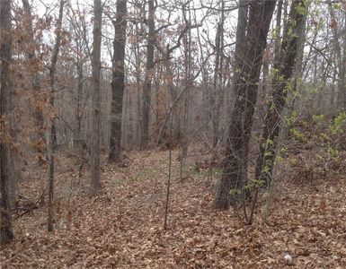 (Undisclosed Address), Bella Vista, AR, 72715