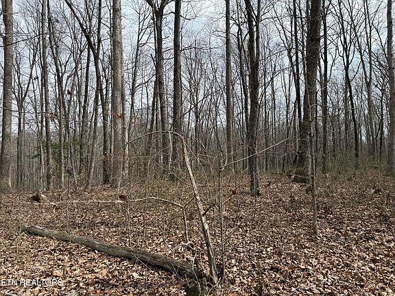 3rd image of High Pl