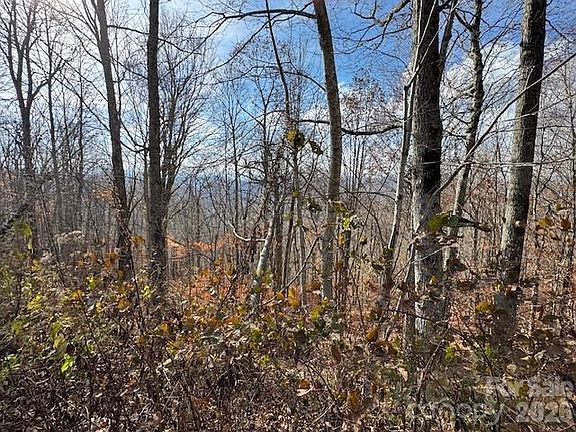 3rd image of 50 Scenic Wolf Ridge Rd