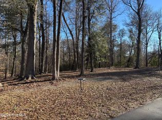 124 River Bluffs Dr LOT 386, Castle Hayne, NC 28429