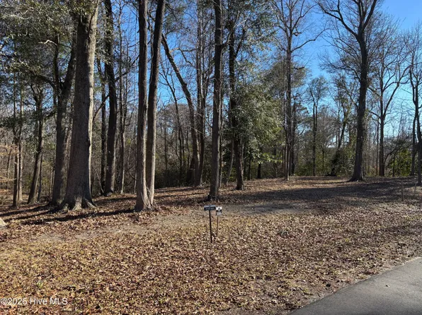 124 River Bluffs Dr Lot 386, Castle Hayne, NC 28429