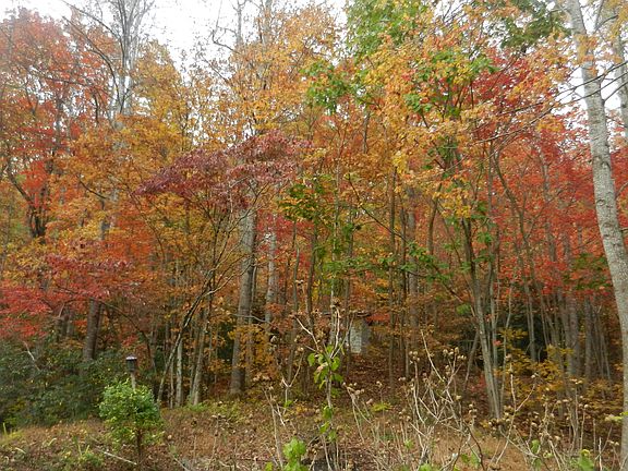 Nov,. every direction