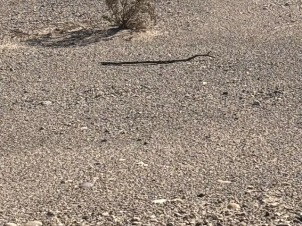 4070 Tierra Vista Dr, Yucca, AZ 86438