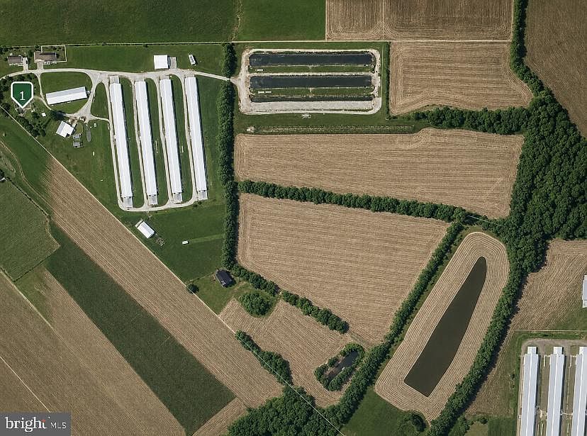 1st image of Magnolia Manor Farm