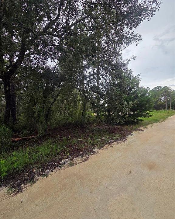 2nd image of 15326 MOTTLED OWL ROAD LOT 1