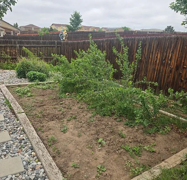 5660 Many Springs Dr — Photo 40