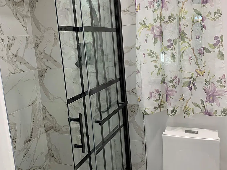 Shower room and toilet in the master bathroom