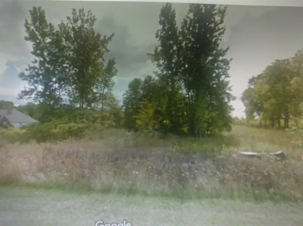 4215 Neal Ct, Linden, MI 48451