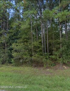 996 Hickory Grove Rd, Lumberton, MS, 39455
