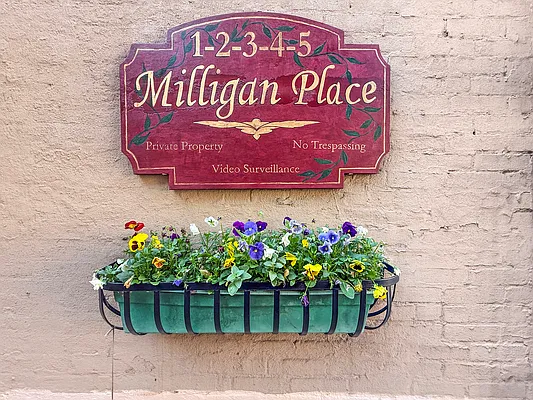 Rented by Compass | media 18