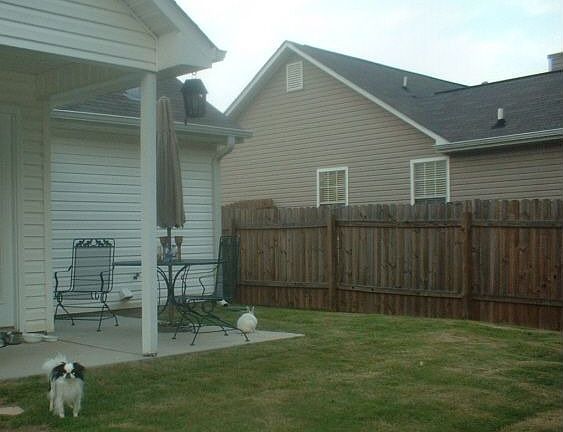 Private backyard