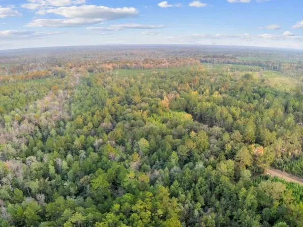 1090 County Road 2133, Burkeville, TX 75932