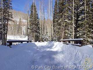 5th image of 91 White Pine Canyon Rd #90