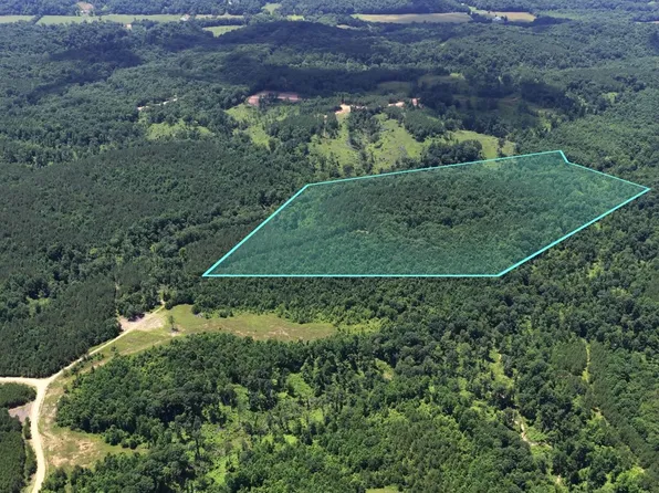 0 Cox Hollow Rd Lot 25, Dover, TN 37058