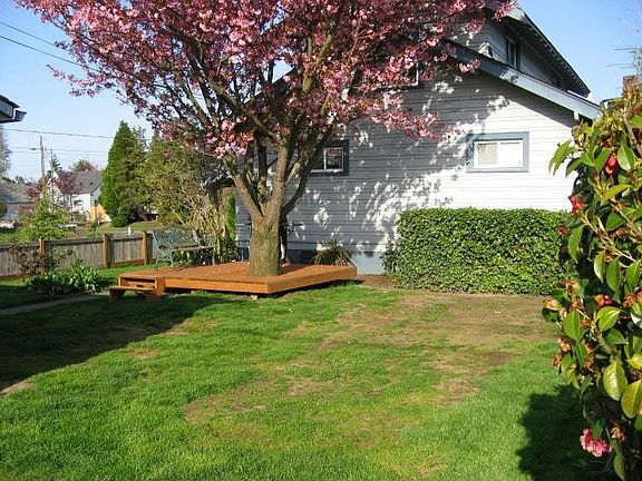 Back yard