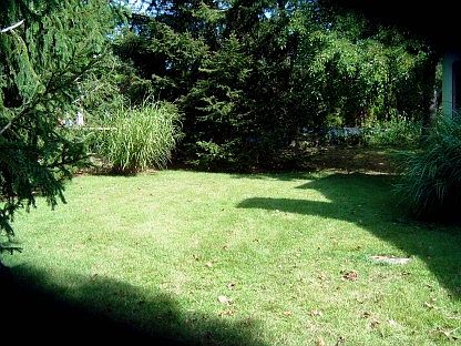 5th image of 10 Terry Dr