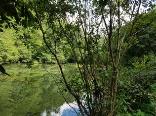 297 Indian Ln, Ellijay, GA 30540