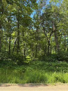 Tbd Blue Ridge Dr, Pequot Lakes, MN, 56472