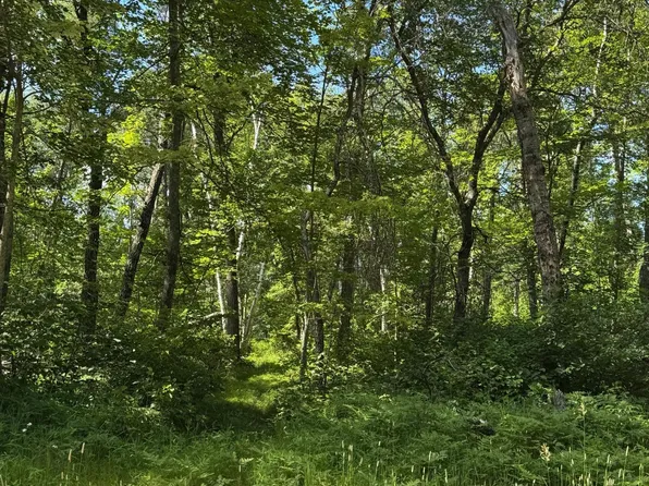 Tbd Blue Ridge Dr, Pequot Lakes, MN 56472