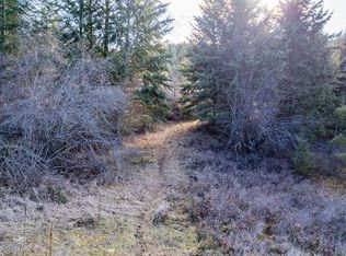 102X Mingo Mountain Rd, Kettle Falls, WA 99141