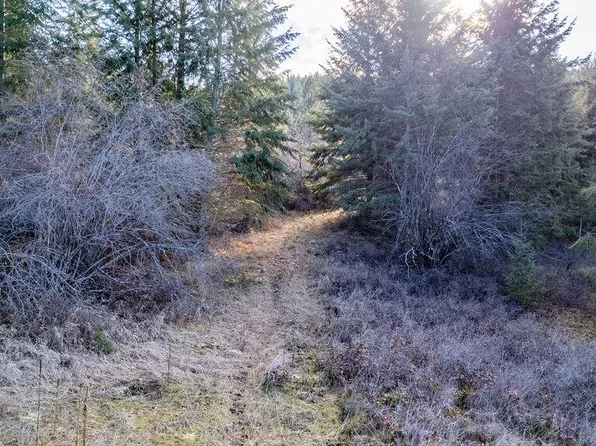 102X Mingo Mountain Rd, Kettle Falls, WA 99141