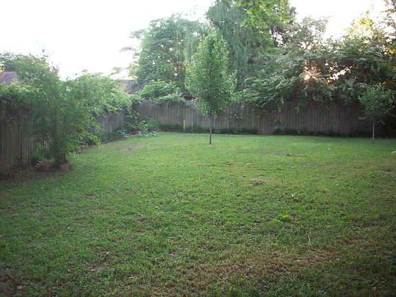 back yard