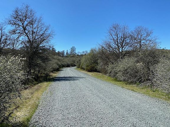 5th image of 9580 Quail Meadow Ln
