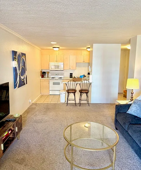2500 S York St #303 — Photo 6