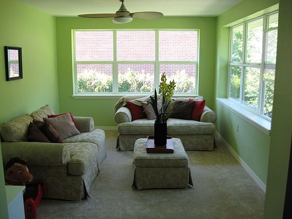 den (not as green as this pic)