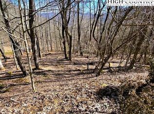 31 Larkspur Ln, Banner Elk, NC 28604