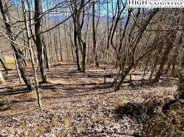 Lot 31 LarkSpur Trail, Banner Elk, NC 28604