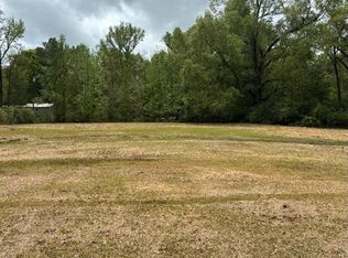 1307 Brinks Ln, Ball, LA 71405