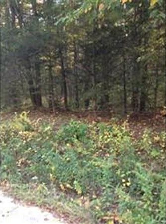 2nd image of 109 Dana Rd