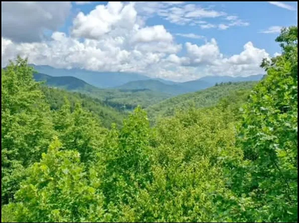 0 Sometimes Creek Rd, Sylva, NC 28779