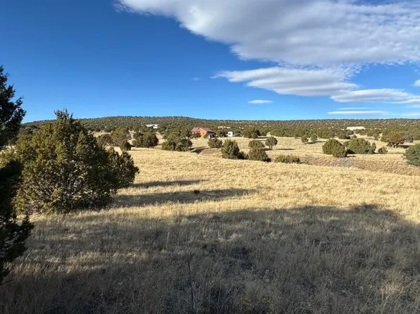 L35 Kreuzer Rd, Alto, NM 88312
