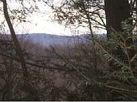 2nd image of 5632 Highway 321
