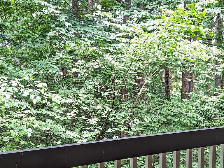 View from Balcony